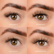 All Occasions - Pre Mapped Multipack