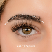 ‘Glam Look’ QuickLash Clusters - Multipack