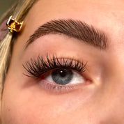 Once upon a QuickLash - Limited Edition QuickLash Style