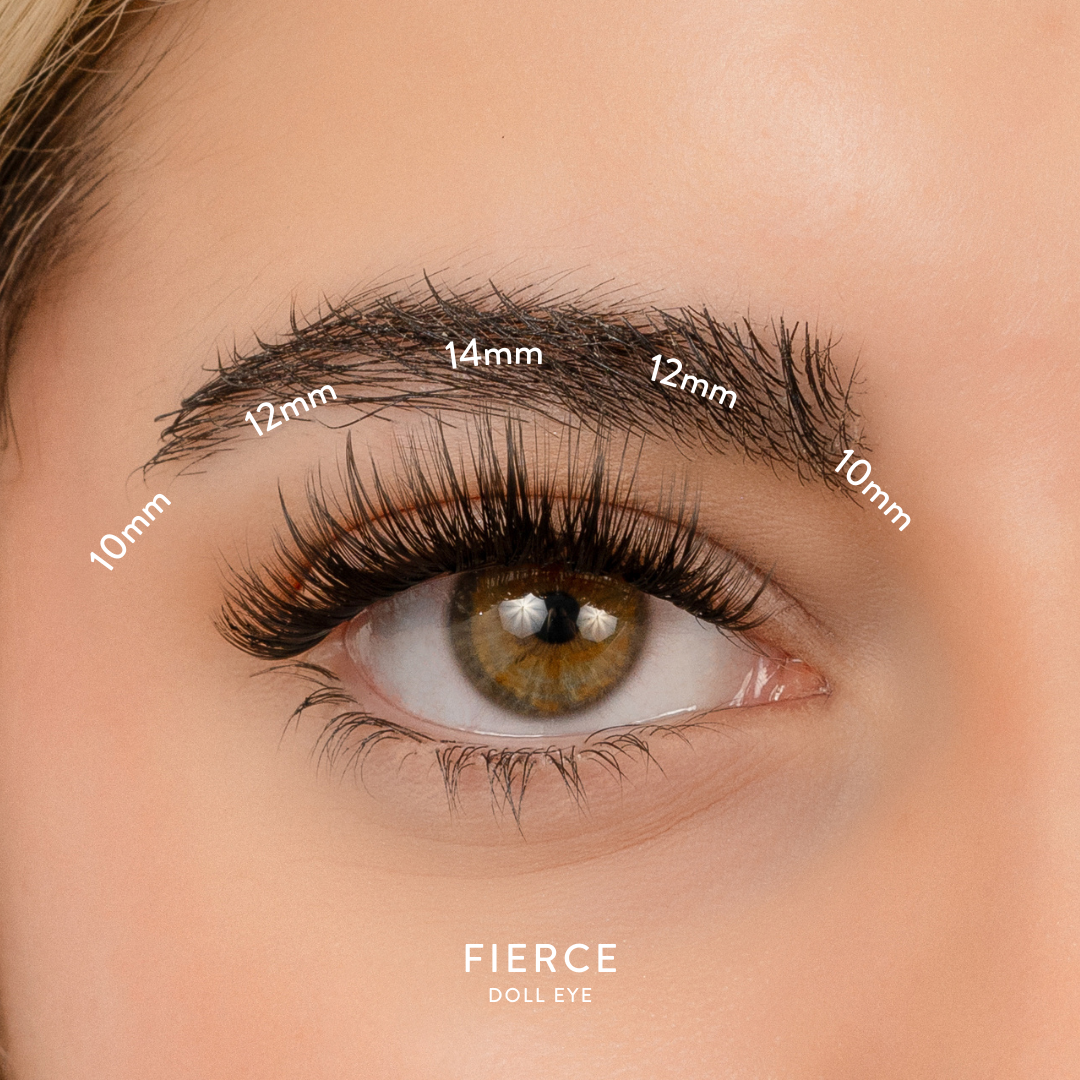 ‘Glam Look’ QuickLash Clusters - Multipack