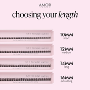 Spotlight Length