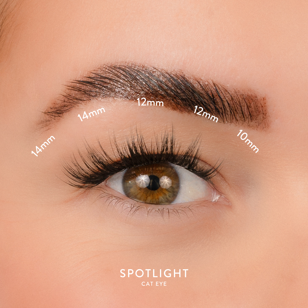 Spotlight Length