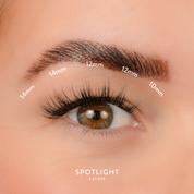 Spotlight Length