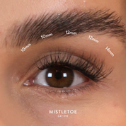 Christmas QuickLash Gift Box