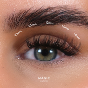 Christmas QuickLash Gift Box