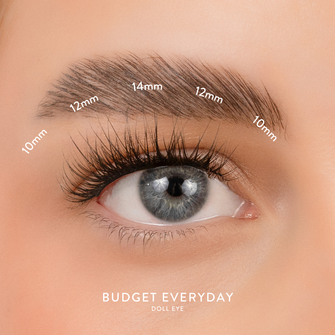 Budget Box "Everyday" with Mini Bond