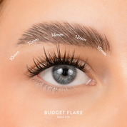 Budget Box "FLARE" with Mini Bond