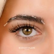 Budget Box "FLARE" with Mini Bond