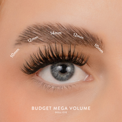 Budget Box "Mega Volume" with Mini Bond
