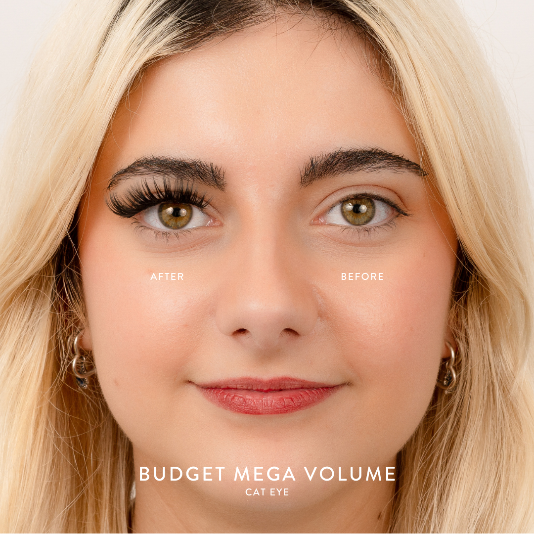 Budget Box "Mega Volume" with Mini Bond