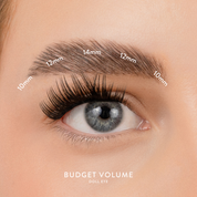 Budget Box "Volume" with Mini Bond