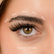 Budget Box "Volume" with Mini Bond