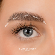 Budget Box "WISPY" with Mini Bond