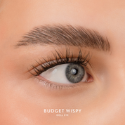 Budget Box "WISPY" with Mini Bond