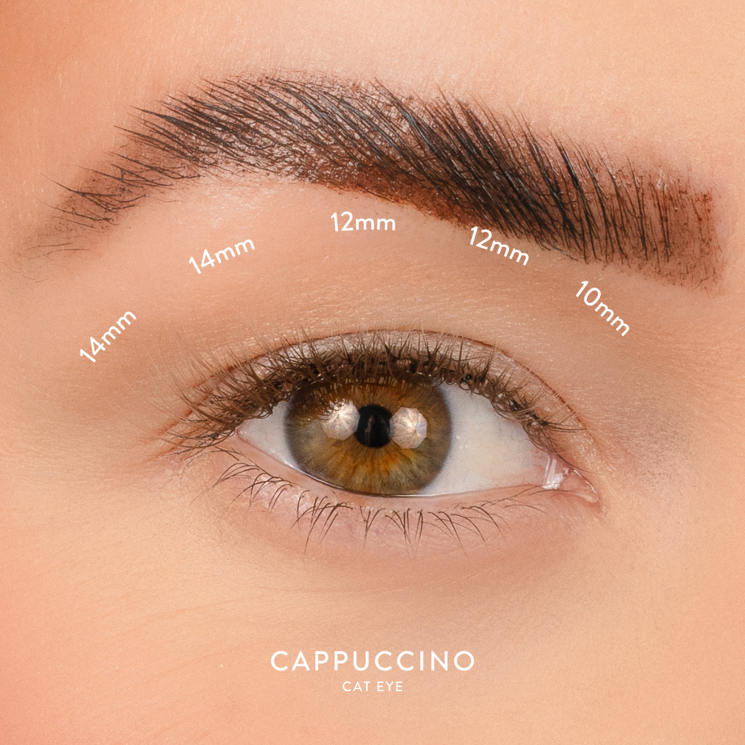 Cappuccino - Light Brown D Curl Clusters