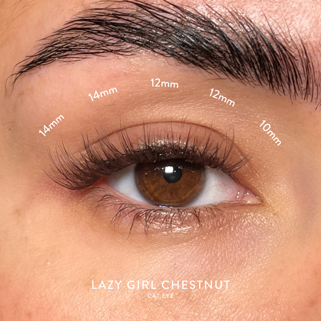 Chestnut_d10c5502-e1f7-4d8b-aa24-c0f9f686e21a.png
