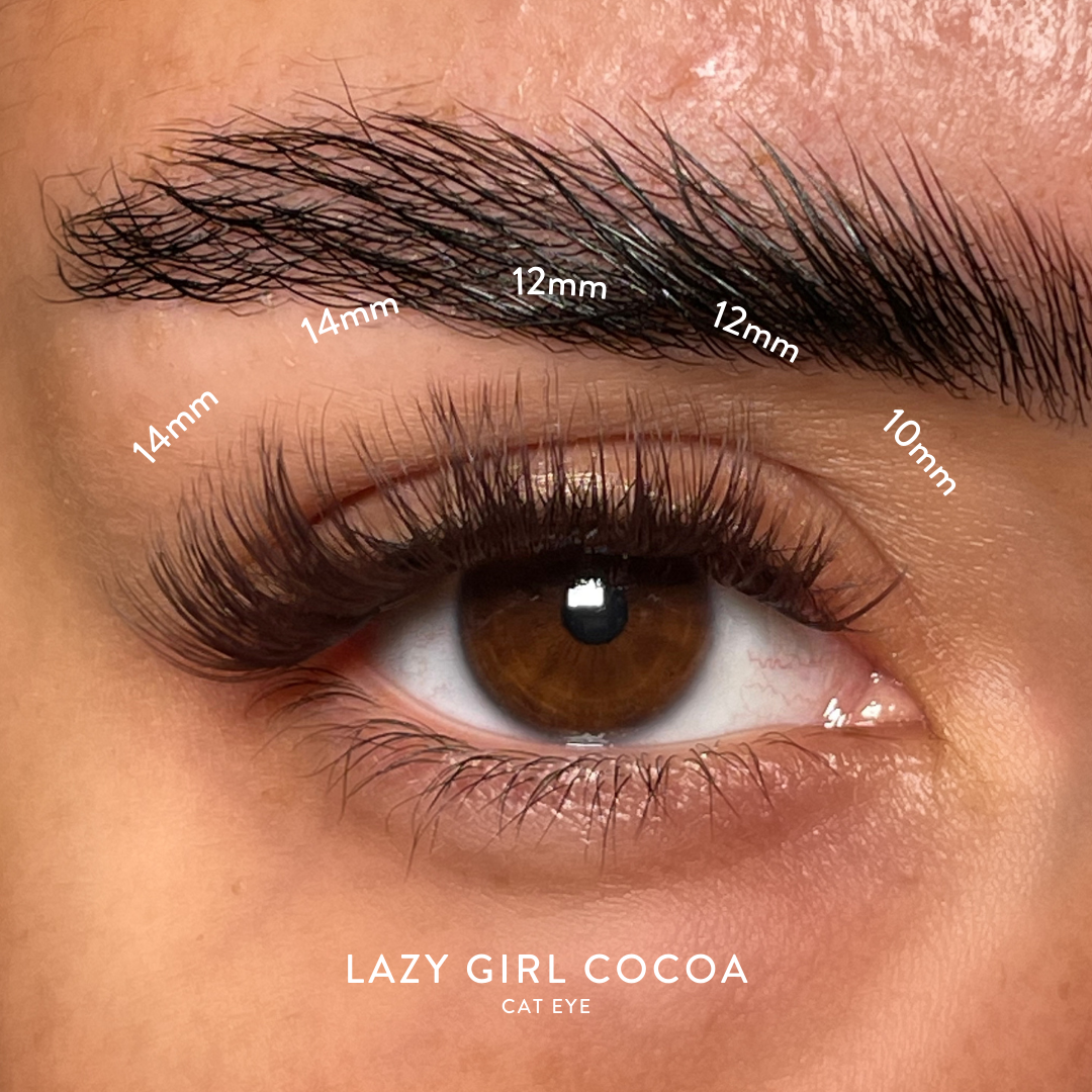 Cocoa_95c9fa8e-e970-4de1-83de-a2c5d40b9cbf.png