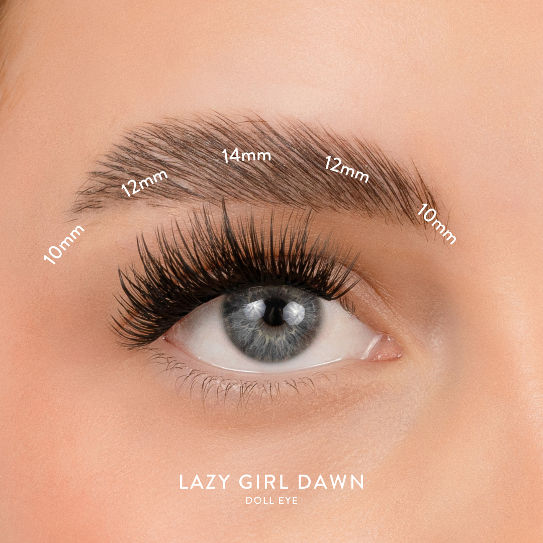 Dawn_B_46f21320-a551-4293-a5d2-50e949575438.png