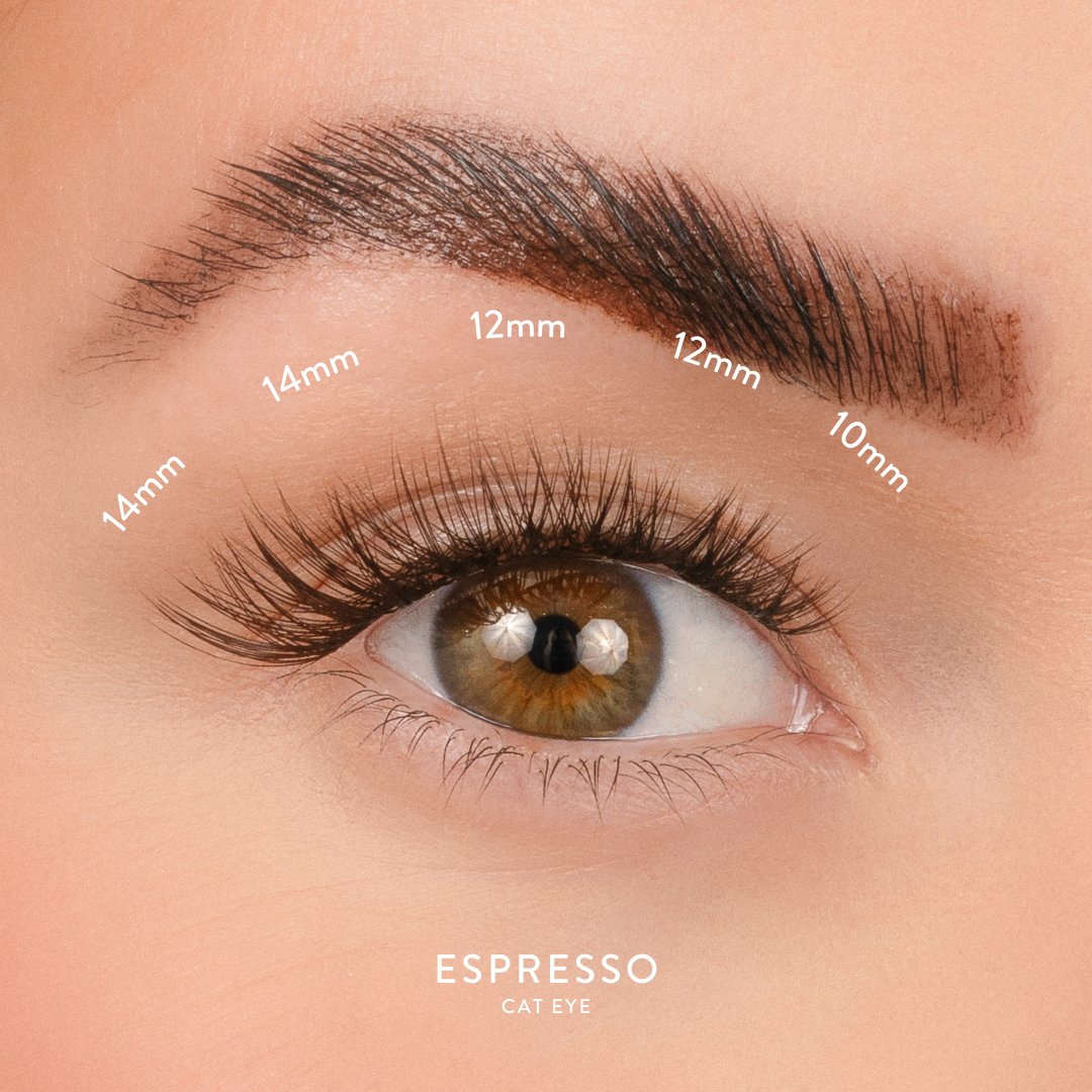 Espresso - Black/Brown D Curl Clusters