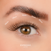 Espresso - Black/Brown D Curl Clusters