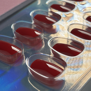 Hot Line 'Shortie Collection' - Press On Nails