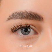 The Iconic - Pre Mapped QuickLashes