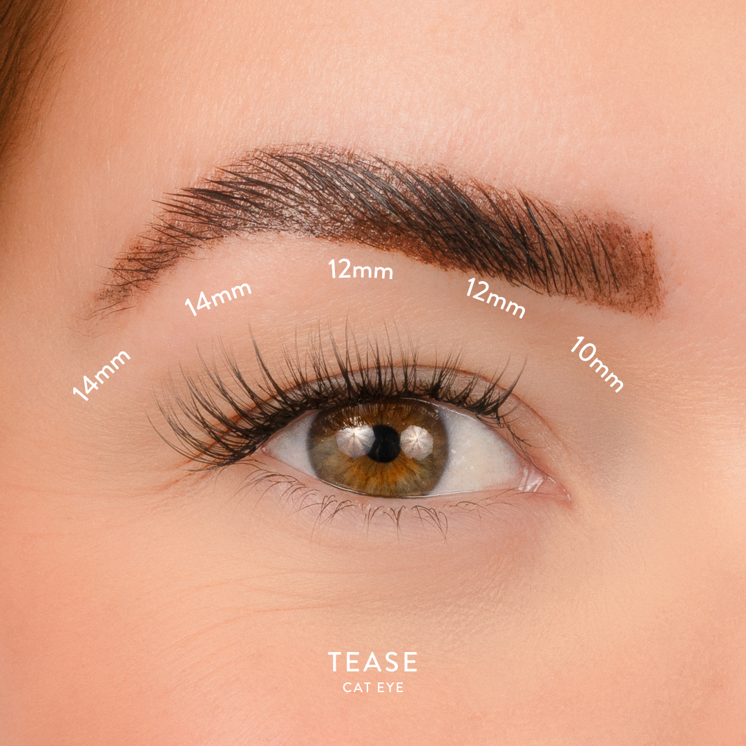 Lord & Berry Lash Wardrobe Kollektion - Echte Wimpern Aus Naturhaar, Bis Zu 10x Wiederverwendbar