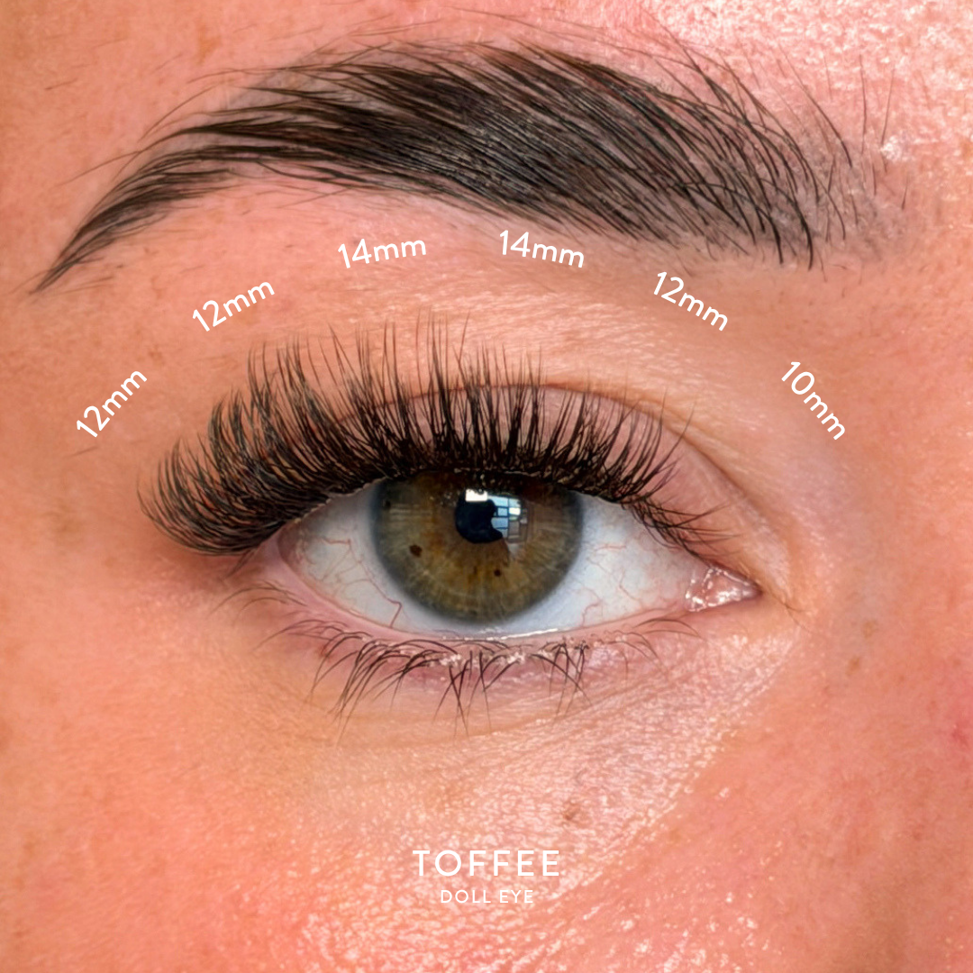 Toffee_2323a7d2-b9fa-45f6-b449-29b13615ef23.png