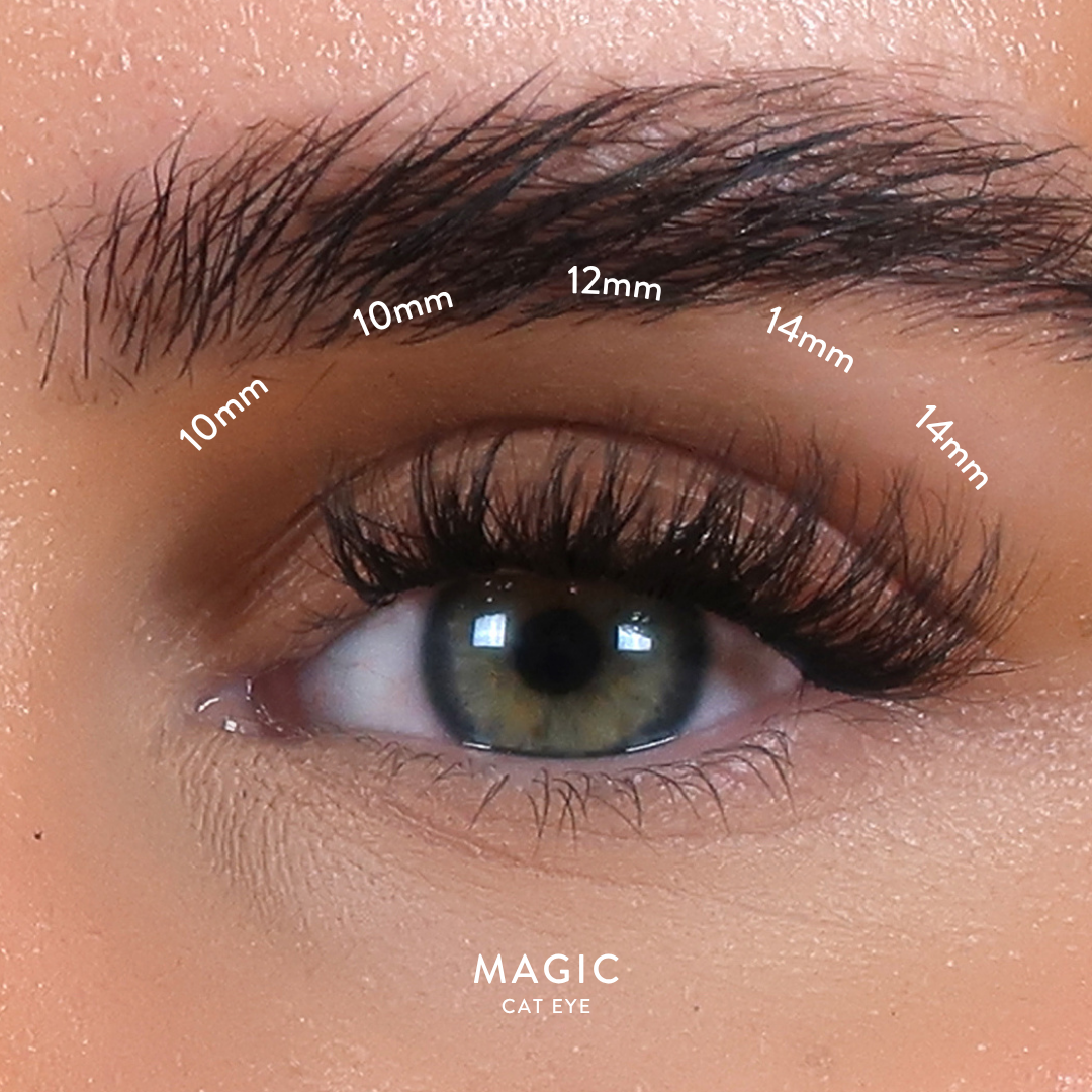 Christmas QuickLash Gift Box