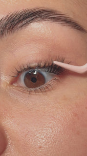 Winging It - Pre Mapped QuickLashes